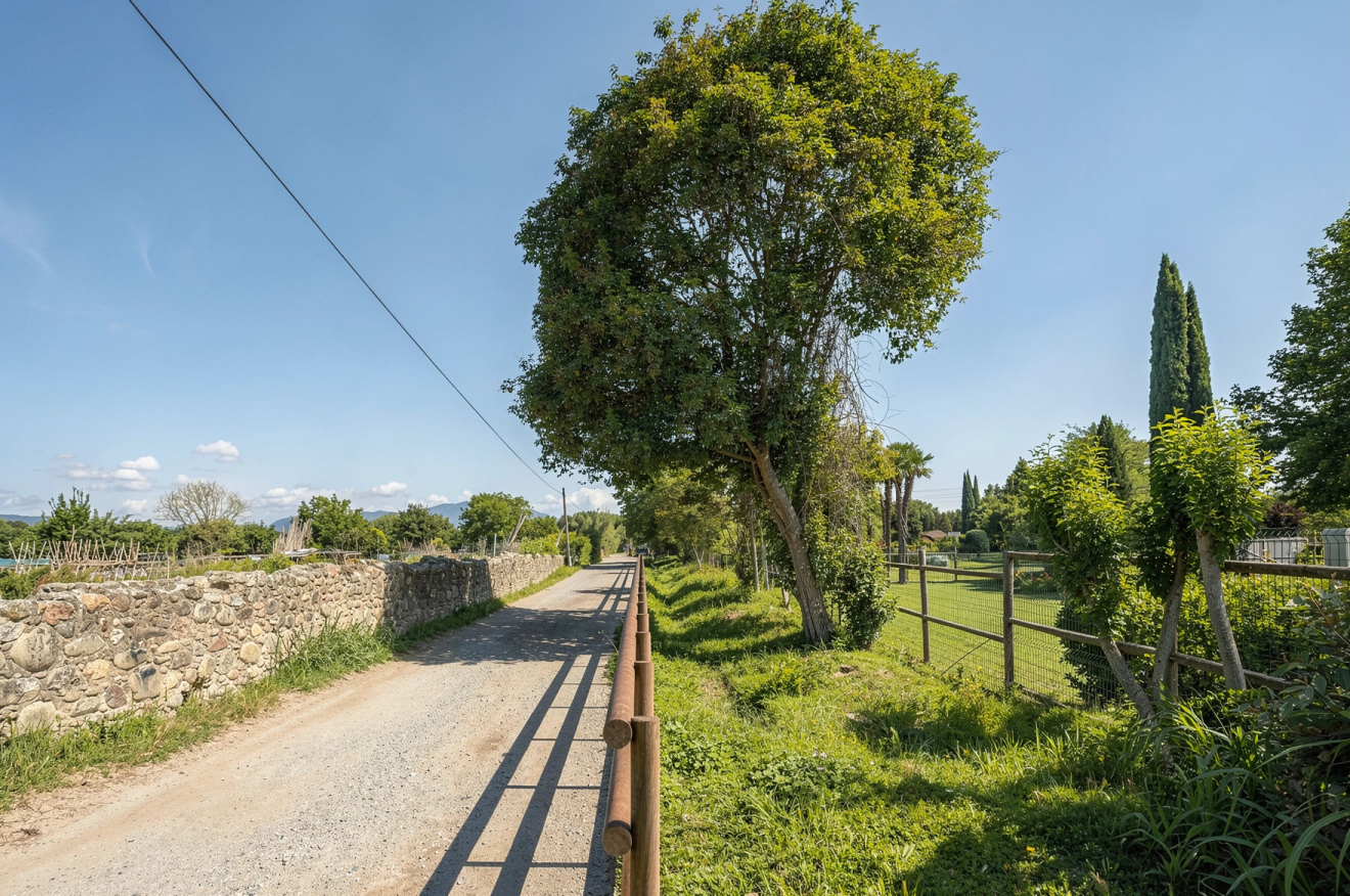 HUERTAS DE SANTA EUGÈNIA